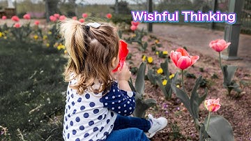 Wishful Thinking - Country & Folk Music (Instrumental) 1H LOOP for Concentration, Relaxation, BGM