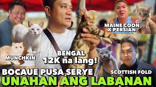 IKAW NA MAUNA, BAKA MAUNAHAN KA PA | BOCAUE PUSA SERYE | MAY 24, 2024