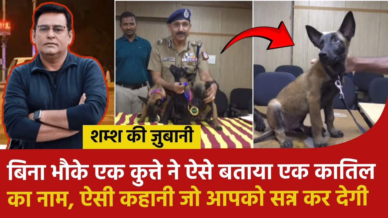 बिना भौके एक कुत्ते ने ऐसे बताया एक कातिल का नाम, ऐसी कहानी जो आपको सन्न कर देगी #shamskijubani