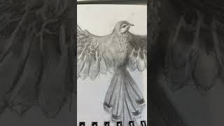 Randomly had the motivation to draw a bird #art #birdsketch #yellowbird #viral #trending