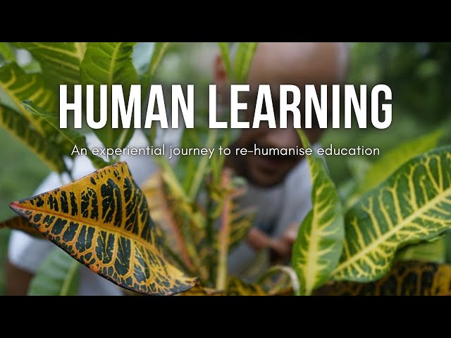 Human Learning | An experiential journey to re-humanise education
