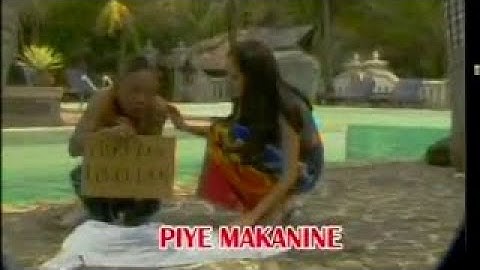 Didi Kempot - Piye Makanine House (Official) IMC RECORD JAVA
