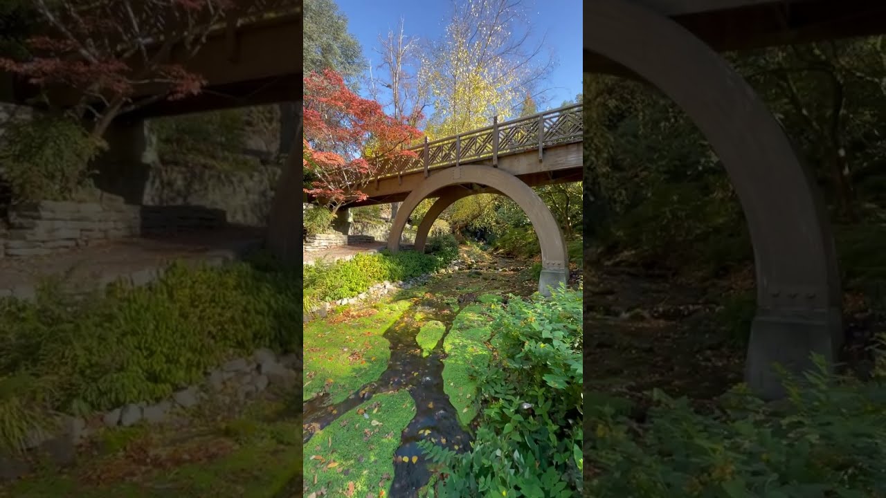 Portland, Oregon | Secret Gardens✨