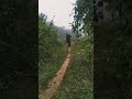 #running #run #runningmotivation #workout #youtubeshorts #shortvideo #shorts