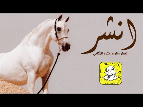شيلة انشر العطر والورد انثره للانامي اداء وسم  حصريا