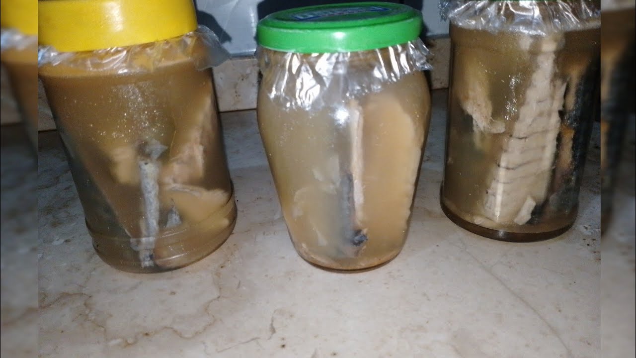 طريقة عمل التونه في المنزل 👌