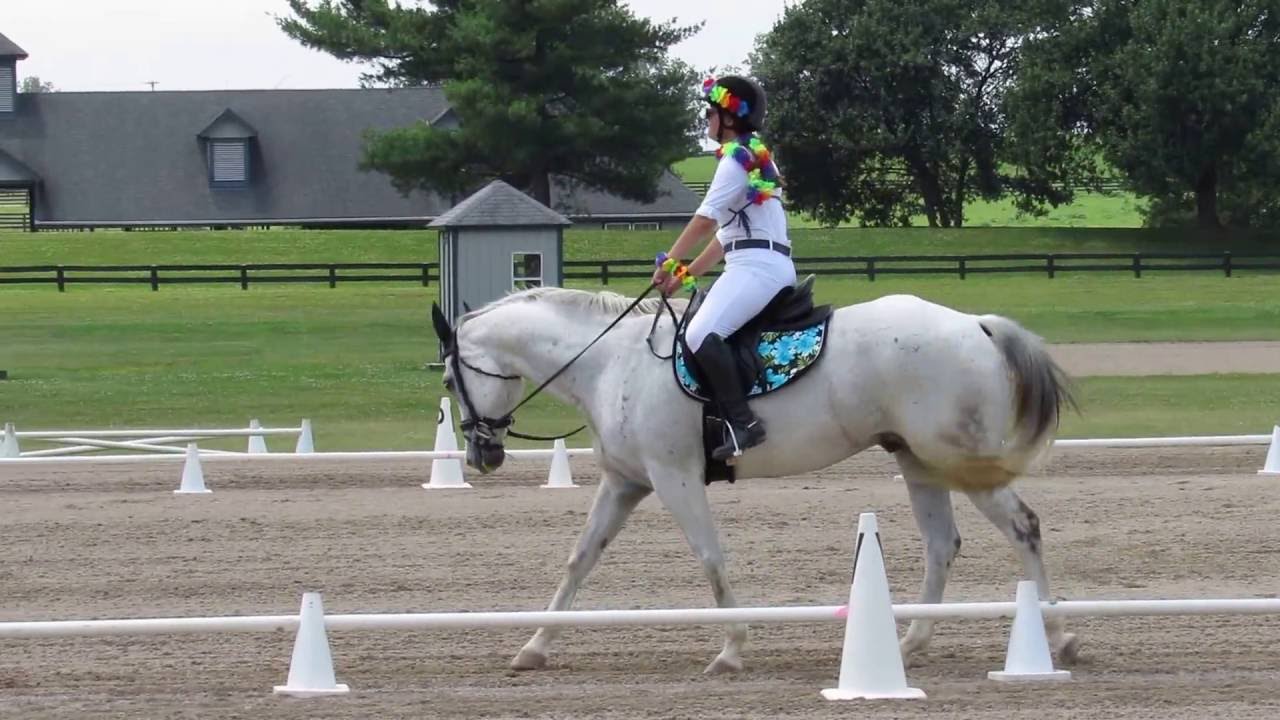 Dressage Musical Freestyle to The Police and Hawaii Five-0 - YouTube