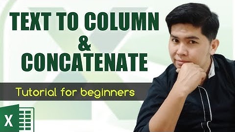 How to SPLIT TEXT into Multiple Columns using TEXT TO COLUMN in Excel - Everything You Need To Know