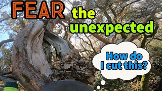 The truth about working on storm damaged tree(it's dangerous)