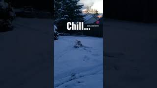 I hope youre spending time with your loved ones on this fine snow day. #shorts
