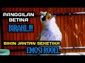 suara panggilan burung trucuk betina BIRAHI MINTA KAWIN top pancingan trucukan agar bunyi dan gacor