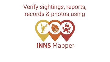 Verify sightings reports, records and photos on INNS Mapper