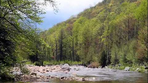 محمد صديق المنشاوي مجود سورة التغابن
