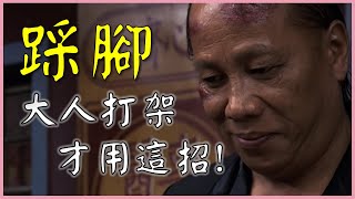 形意拳 踩腳:大人打架的招式【武術概念講堂】Stepping on Foot in XingYiQuan│形意拳八卦掌│健棋道館