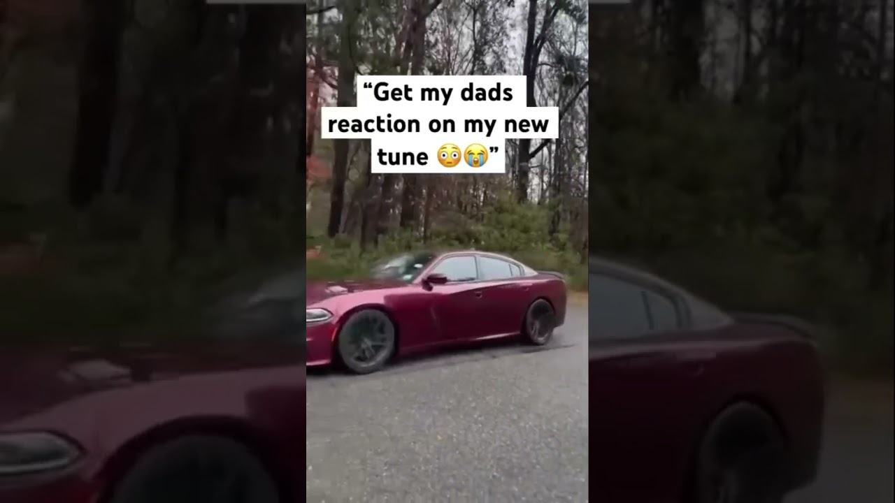 I don’t think he likes it 😓 