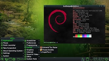 Debian Bullseye 11 32-bit 512MB Moksha Desktop Installation i386 i686 Linux 5.10