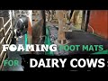 Finding a solution for cow foot baths that work well with robots foaming foot mats how they work