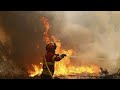 Португалия борется с лесными пожарами. Пока огонь одерживает верх