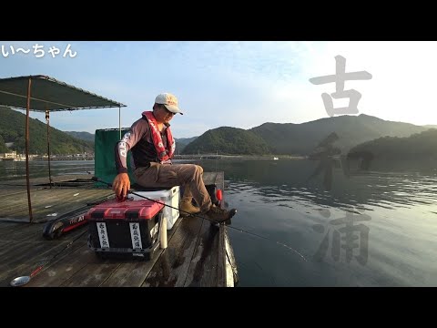 【かかり釣り】古和浦の筏でチヌを狙ってみたけど… 三重県南伊勢町古和浦 誠久丸 真珠跡筏