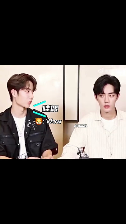 What does it mean?😅 #theuntamed #xiaozhan #wangyibo #yizhan #bjyx #bjyxszd #fyp #trend #bl #bldrama