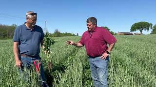 Growing Nitrogen