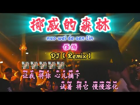 DJ【❤️挪威的森林❤️】伍佰【nuo wei de sen lin】Wu Bai【KTV 歌词版】@NiceMusicBox-DJ