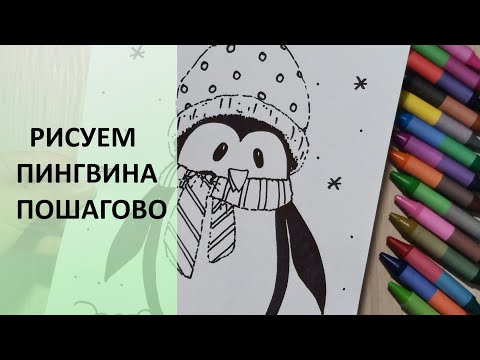 Как нарисовать пингвина. Новогодние рисунки. Пошагово. Winter. How to draw a penguin