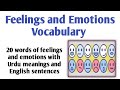 Feelings and emotions vocabulary  english vocabulary  english with ar comrade