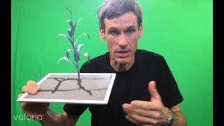 Celebrity Augmented Reality with Unity3D and Vuforia Wealth