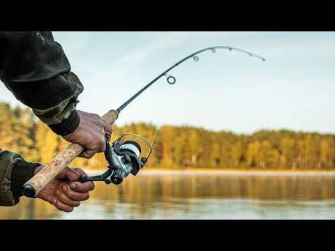 Fishing Trip Gone Wrong