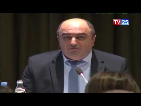 სახალხო დამცველის 2016 წლის ანგარიში