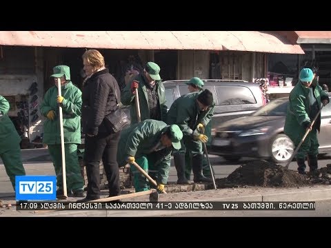 წერეთლის ქუჩაზე 66 ძირი ხე-მცენარე დარგეს