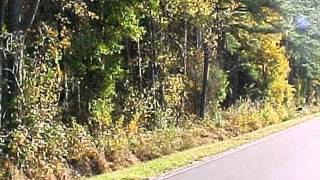 Homes for Sale - 1450 Lambs Grove Rd Elizabeth City NC 27909 - David Clark