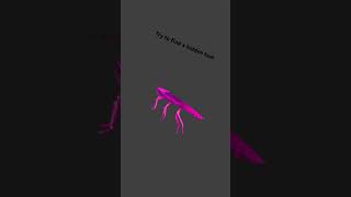 Try to find a hidden text!!!