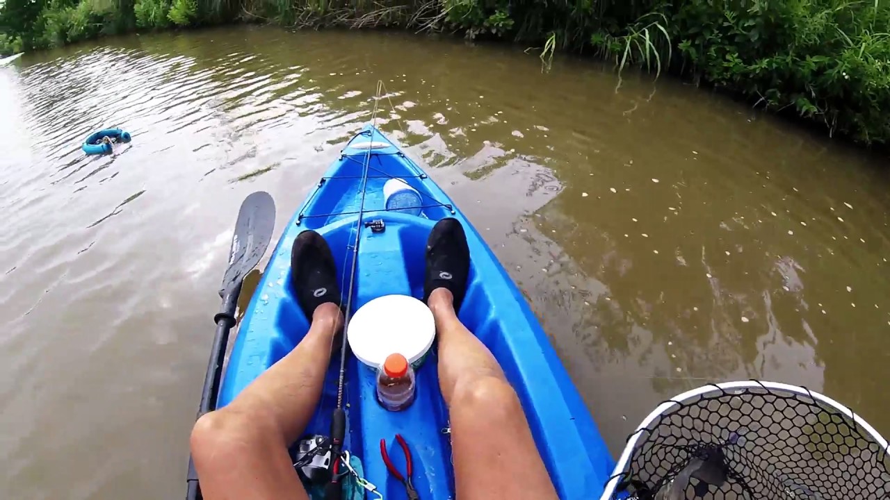 Kayak Fishing with Go Pro Big Catfish 7 1 17 YouTube