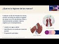 Uma ação simples, um grande impacto: higiene das mãos contra a sepse materna e neonatal