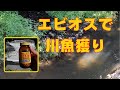 エビオスを罠に仕掛けたらこんな魚が獲れました