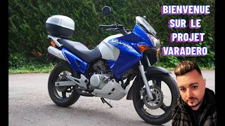 ON REPEINT LE GUIDON ET LA TETE DE FOUCHE