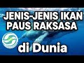 Yuk mari kita Mengenal #fakta Ikan🐳 yg ada didalam Lautan dunia 🤔 #unik #edukasi 👉Subscribe 👈
