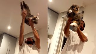 Cat Helps Owner Catch Bug On Ceiling by Betch 7,061 views 1 year ago 3 minutes, 13 seconds