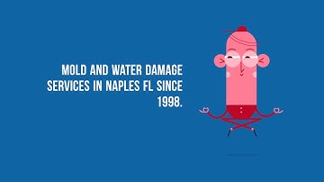 iMold US Service Of Water Damage in Naples, FL