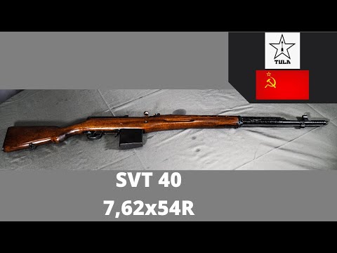 Vidéo: SVT-40 (fusil de sniper): avis de chasseurs, photos, caractéristiques