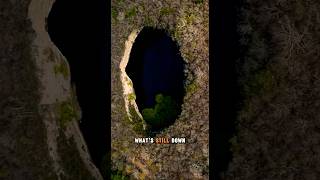 The Lake That Drops Into a Bottomless Sinkhole #mexico #elzacaton #sinkhole #lake #nature #earth