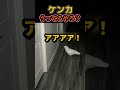 ケンカする気なん？