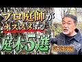 【プロ庭師が選ぶ】庭に植えたい庭木５選 落葉樹編【植木】【外構】