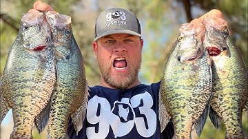 MONSTER CRAPPIE In 1 Foot Of Water‼️ TEXAS CRAPPIE SPAWN 2022 ‼️
