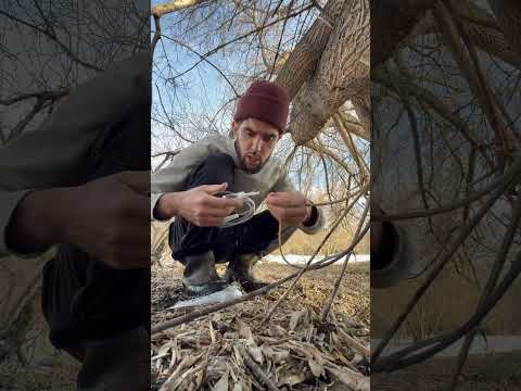 Только не говорите что не пробовали кленовый сок