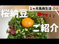 これぞ激ウマ「桜納豆！」医師が1ヵ月馬肉生活始めます！＃3　亀ドクチャンネル