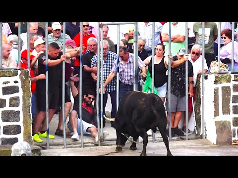 Tourada à corda na Fonte São Sebastião, São Sebastião, 17 de junho de 2025