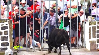 Tourada à corda in Fonte São Sebastião, São Sebastião, 17 June 2025